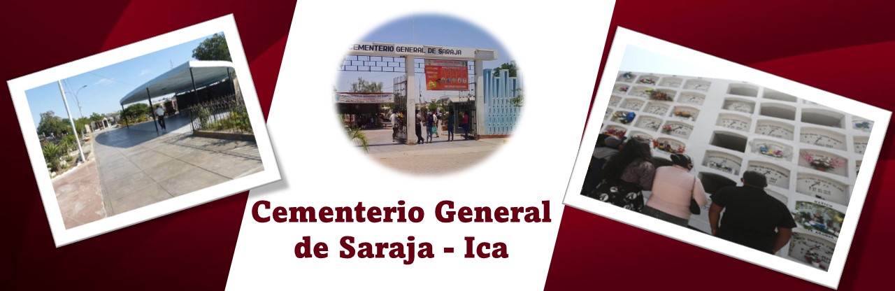 Descripción de la imagen 1