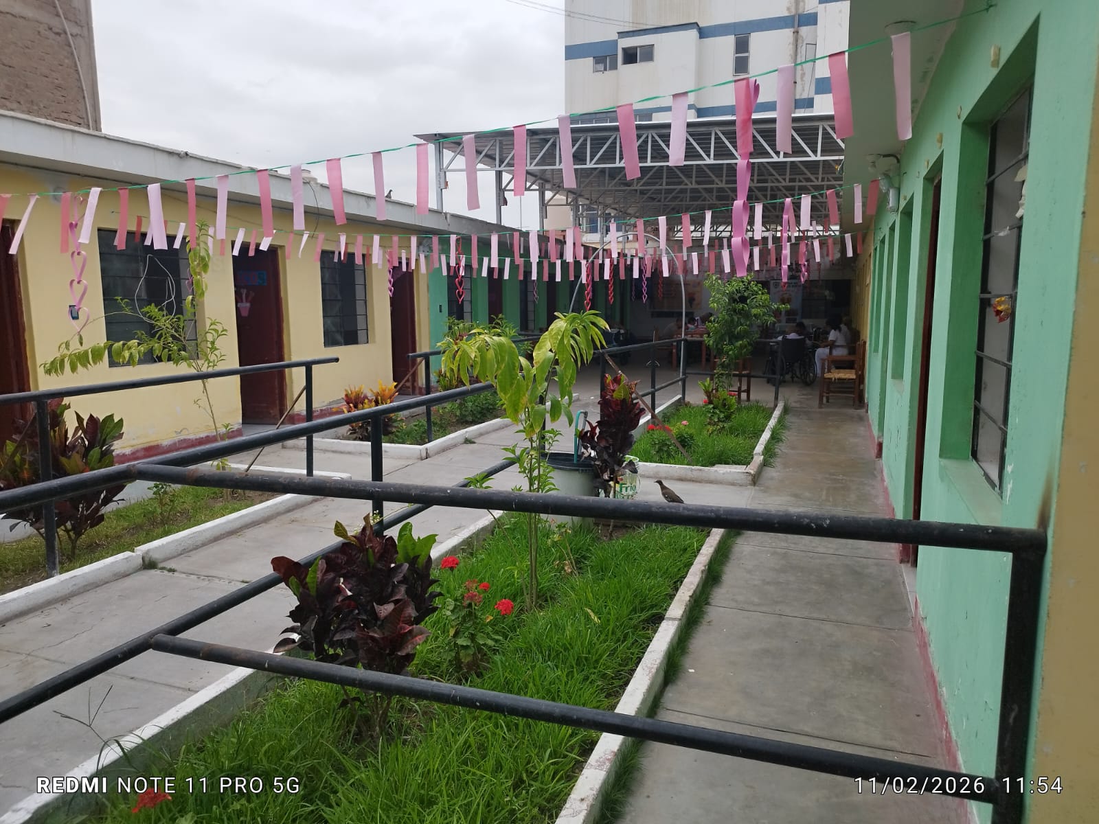 Jardines del asilo